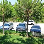 Lavender Kusadasi